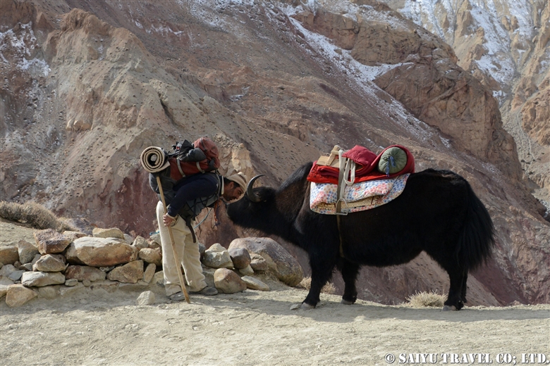 Shimshal in Autumn  –  to the Shimshal Pamir / Autumn Kuch -1